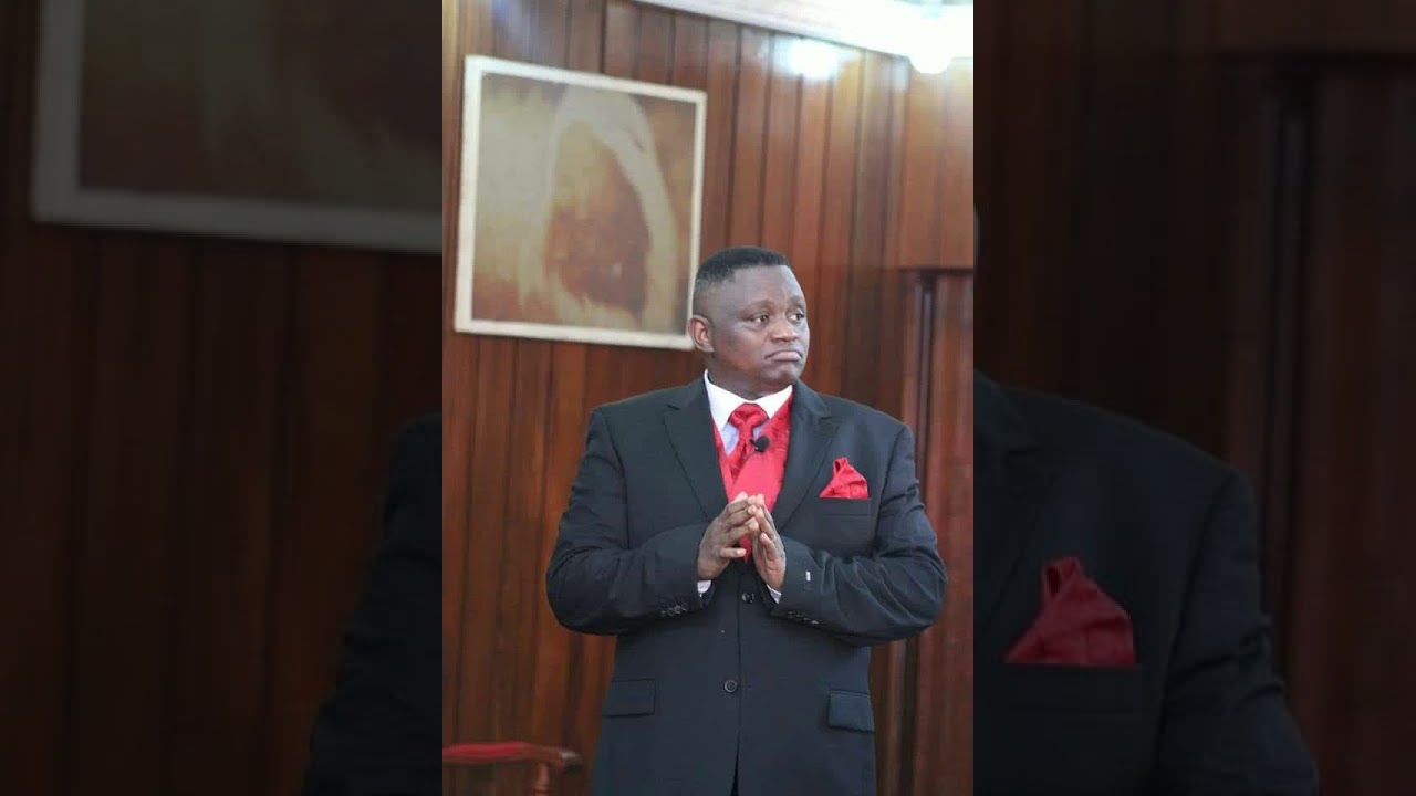 Vous devez travailler, c'est obligatoire( L'école de la fourmi) by Lys Romuald Ngalibali