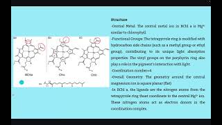 Biology 110 presentation beck: from photosynthesis to soft materials screenshot 4