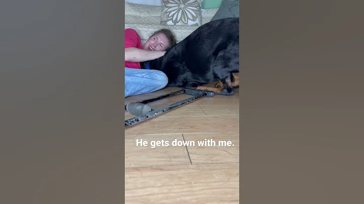 Service Dog helps fainted handler🐾 POTS
