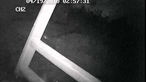 FEATHERS AND SPIRIT ORB ANGELS.