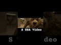 Thamma movie fight seen Part 5#viral #shorts #ytshorts #trending #shortvideo#viralvideo #thamma