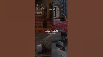 قرآن ارح مسمعك حالات واتس اب دينيه قرآن الكريم 🌿🤍.