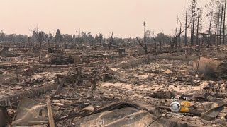 Deadly Wildfires Decimate California Wine Country