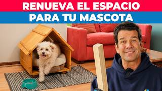 Cómo hacer un espacio para mascotas dentro del hogar
¿Buscas una casa para perros cómoda, resistente y que además combine con la decoración de tu hogar? En este proyecto construimos una casita de madera para mascotas utilizando tablas de pino cepillado, molduras y barniz protector para lograr un espacio acogedor, fácil de limpiar y perfecto para perros de interior. ¡Hágalo Usted Mismo!
Materiales 🇨🇱: https://bit.ly/4xL3RoI
📝 Paso a paso del proyecto: https://bit.ly/4eHHgR5
👥 Consulta a los especialistas: https://bit.ly/4ajDdt3
🛒 Todo lo que necesitas está en: https://sodimac.com Cómo hacer un espacio para mascotas dentro del hogar