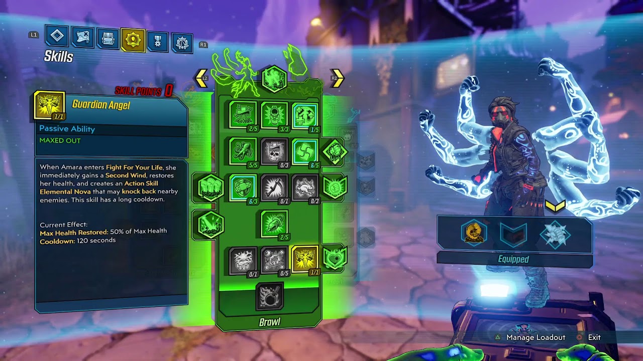 RICOCHET WITCH AMARA BUILD | Borderlands 3