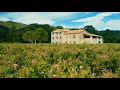 [10 Hours] Rose Petal Farm in Southern France - Video &amp; Soundscape [1080HD] SlowTV