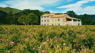 [10 Hours] Rose Petal Farm in Southern France - Video & Soundscape [1080HD] SlowTV