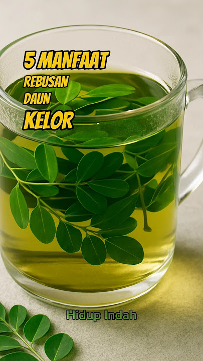 5 Manfaat Rebusan Daun Kelor Untuk Kesehatan
