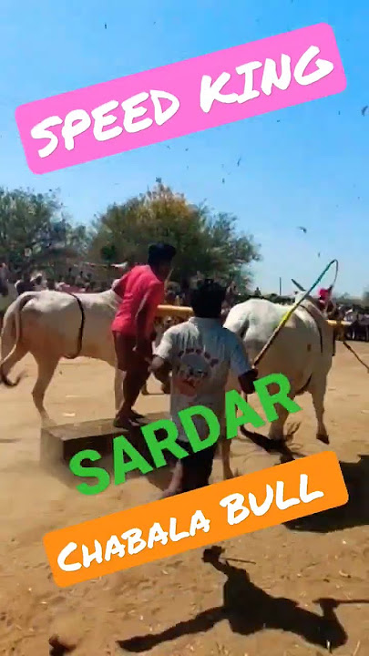 SARDAR🦁🔥🔥🔥🦁SPEED KING CHINA KULAYAPAA  CHABALA BULL #subscribe