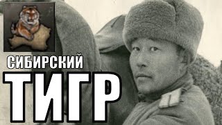 Тувинская Сибирь в HOI4 [Siberian Tiger]