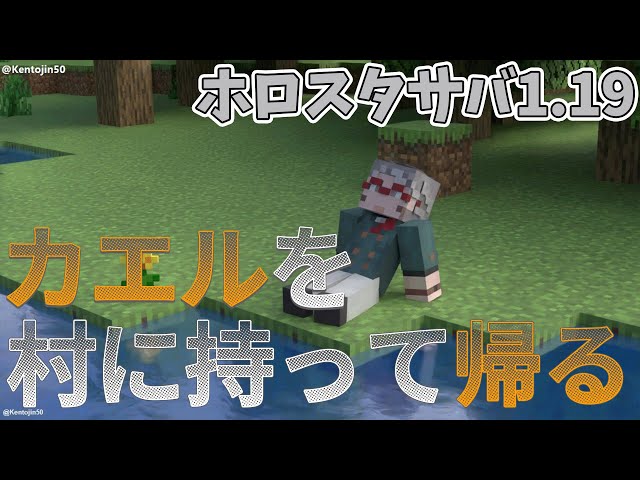 【Minecraft 1.19】天真村にカエルを呼んで繁殖させたい！&カエルライトが欲しい！ 【アルランディス/ホロスターズ】のサムネイル