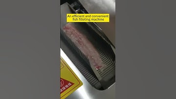 An efficient and convenient fish filleting machine helps the catering industry #fishcutting_skills