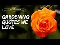 Ten amazing garden quotes and sayings