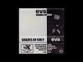 EVS feat. Deeskee-Beauty (2000)