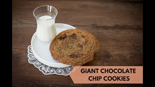 Giant leftover chocolate cookies