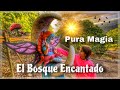 El Bosque Encantado de (Parauta) ⛰️🧙‍♂️ #malaga #aiphone #mountain #bosqueencantado