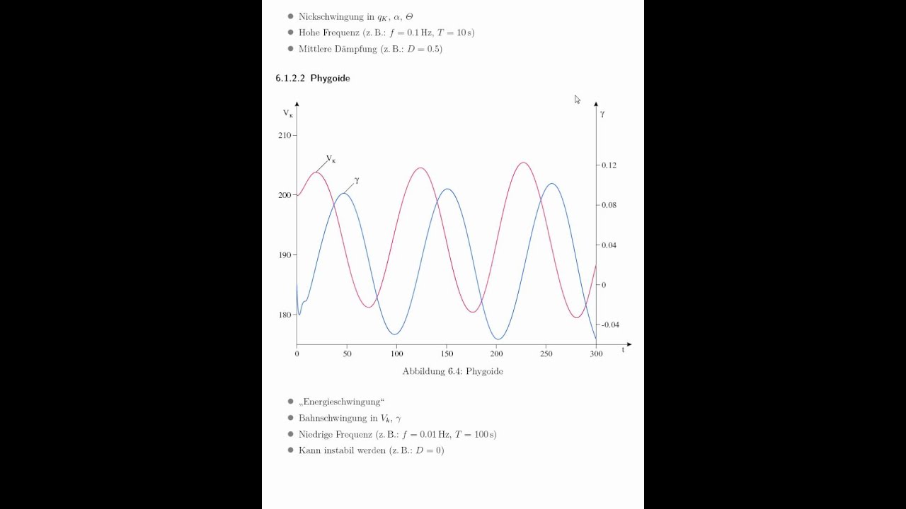 6.1.2.2 Phygoide YouTube