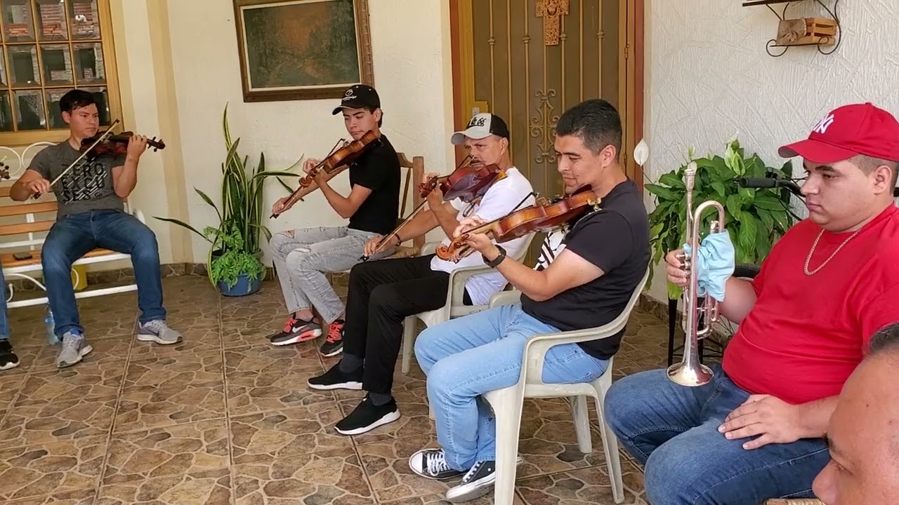 El Zopilote Mojado-Mariachi Nuevo Tamazula