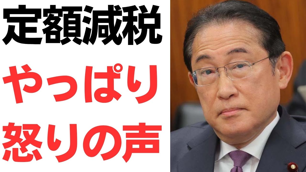 定額減税と企業・税理士の負担をめぐる議論を扱う動画のサムネイル