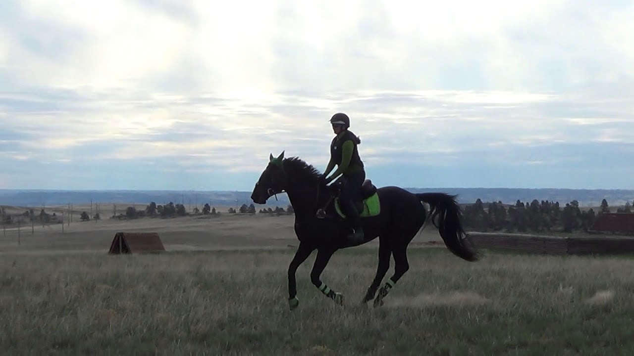 camera iphone 8 plus apk Arrowhead Spring Eventing Clinic 2015 #6
