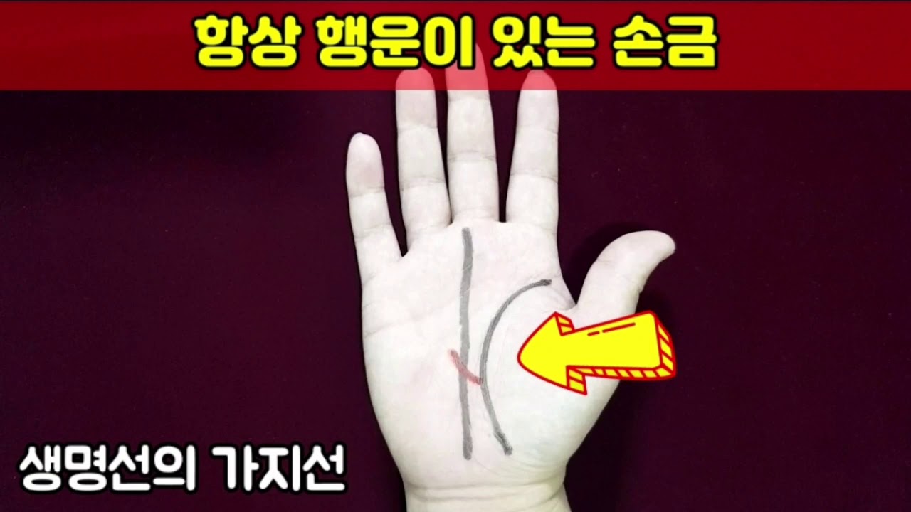 항상 행운이 있는 손금 -생명선의 다양한 가지선- - YouTube