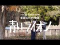 予告30秒 映画「新居浜ひかり物語 青いライオン」｜2024年秋 愛媛、岡山、香川 先行公開 池袋シネマ・ロサほか全国順次公開決定！