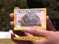 大型動物のえさやり体験に、新しい「動物カード」が登場！2010年5月 9日