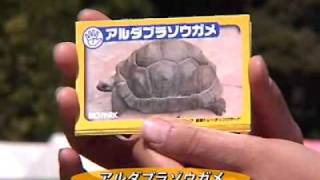 大型動物のえさやり体験に、新しい「動物カード」が登場！2010年5月 9日