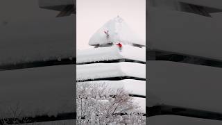 Powder Pyramid 💨 Elias & Gigi scoring big in Japan 🇯🇵 Watch Under Black Flag on RBTV 📺 now