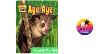 Aye Aye