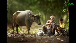 Sholawat Penyejuk hati | Tempo dulu