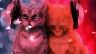 Музыка котиков   флешмобы с Тик Тока   Оцени   котиков и музыку