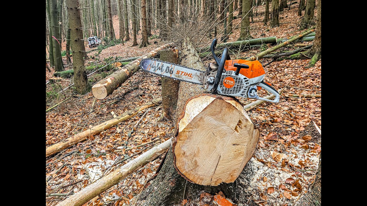 Nějaké to káceníčko