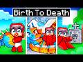 BIRTH TO DEATH of an ELEMENTAL DRAGON in Minecraft!