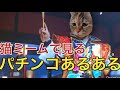 【猫ミーム】パチンコあるある