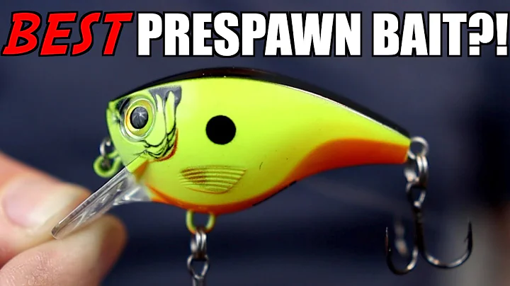 Are Squarebill Crankbaits the BEST Prespawn Bass Fishing Bait?!
