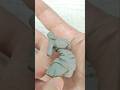 【RPG:art】獣人と鎧を粘土で造る究極造形34 #furry #clayart