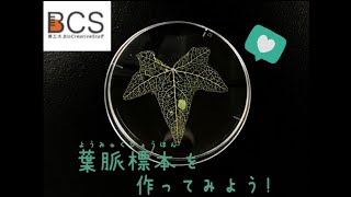 【人と被りたくない！】高校生におすすめの自由研究テーマ＆アイデア集