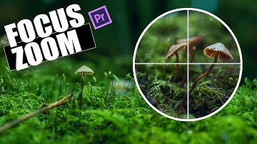 Zoom into Different Parts of Video in Adobe #premiere Pro using Anchor Points Explained #howto