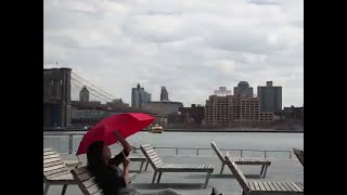 Best Vines of 2014 compilation