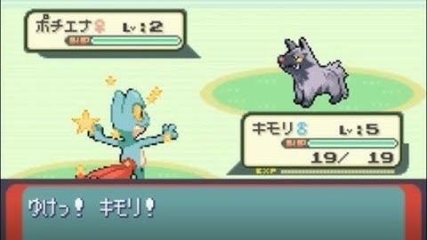 LIVE Shiny Treeko in Pokemon Sapphire via soft resets! (ISHC 2019)#5