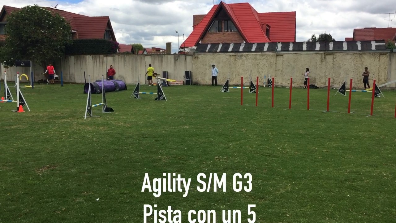 Leela y Javier Vega, Agility Colombia Septima Fecha campeonato Bogotano