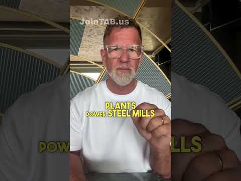 Steven Greenfield Md