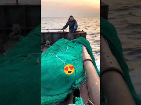 طريقة إطلاق شبكة الصيد بالجر في البحر