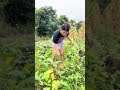 Master the Shot: Ultimate Guide to Camera Positioning for Your Rural Vlogs