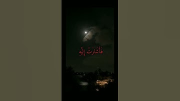 سورة مريم ( 27-30)