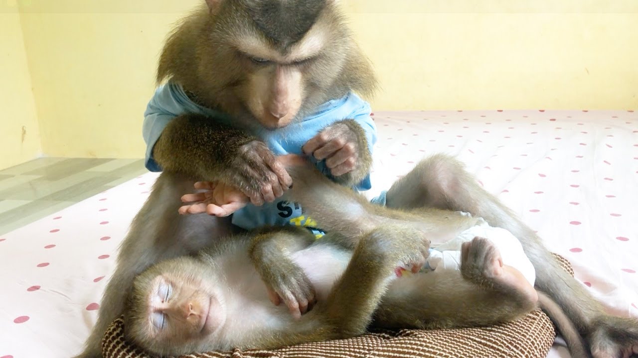 Jason Effective Hands Grooming Feet Jessa Fast Sleep Within A Minute