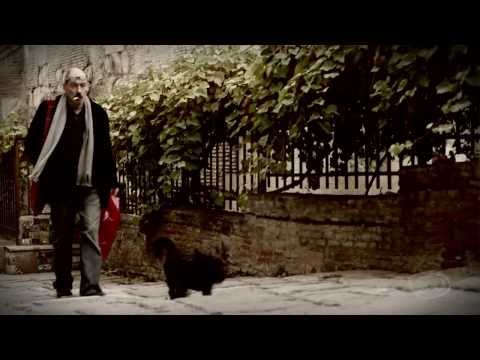 GD პედია - სალომე ხალვაში - გუგა კოტეტიშვილის პორტრეტი