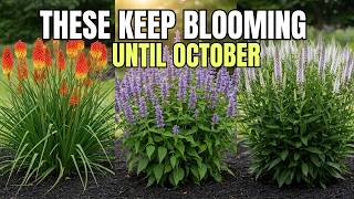 13 Must-Have Perennials for Late Summer Color | August Garden Favorites I Perennial Garden