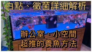 觀賞魚飼養與疾病預防完全攻略—你的魚如果得白點或是黴菌該怎麼辦要下什麼藥要怎麼下換水到底要換多少對魚才是最好的,辦公室和小家庭小空間的朋友也可以養一缸美美的魚,銀海水族超強夥伴教你怎麼做